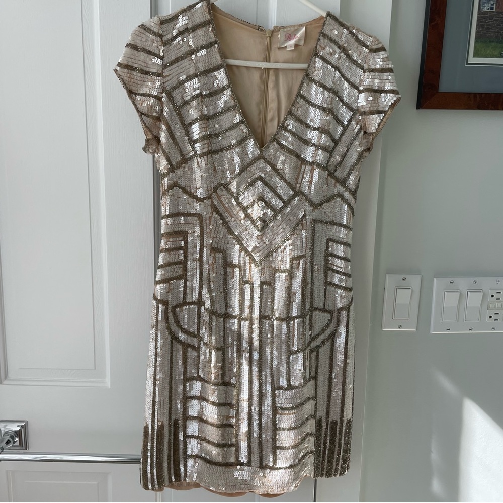 Parker Serena short sleeve sequin mini dress
